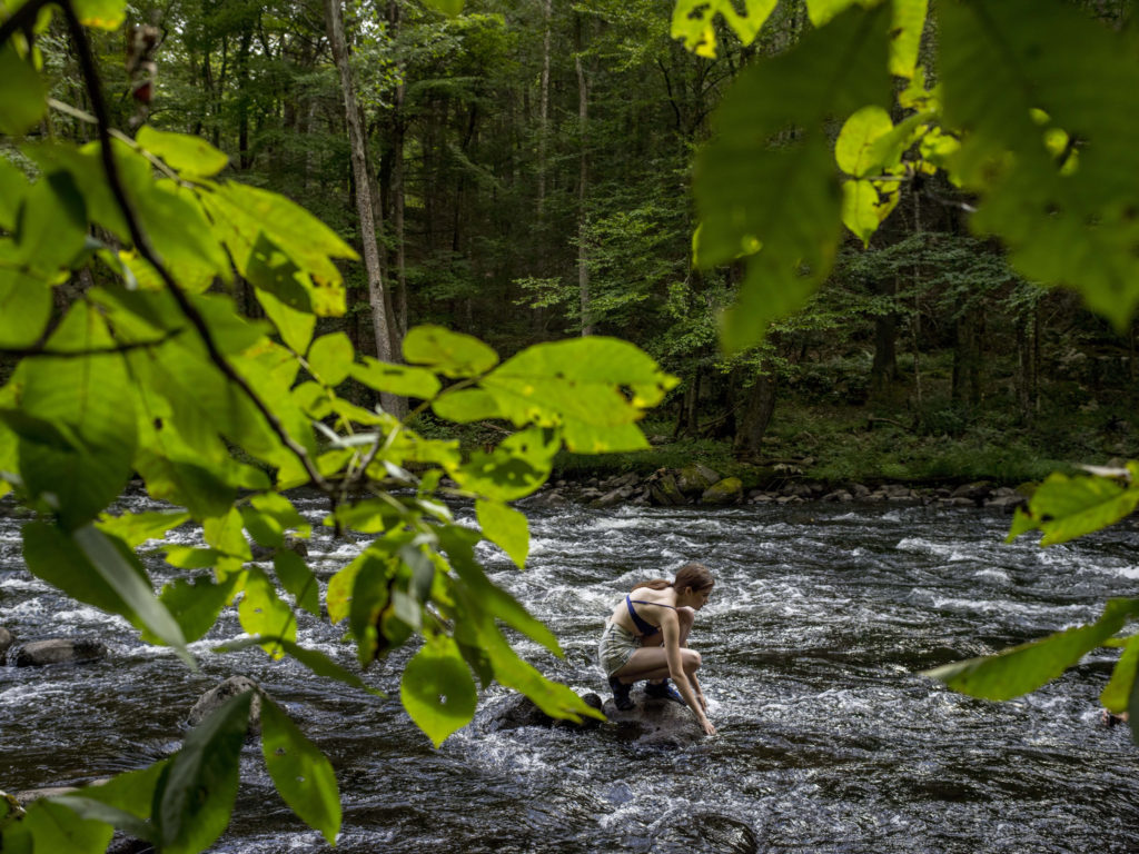 Mongaup River Trail