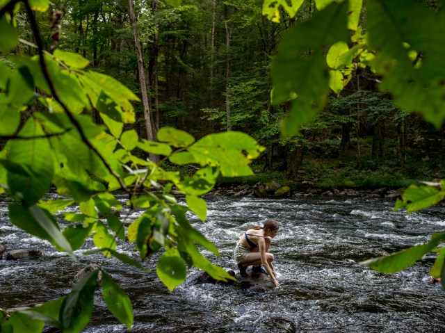 Mongaup River Trail