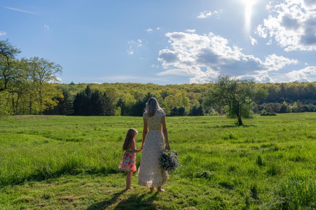 Summer in the Catskills