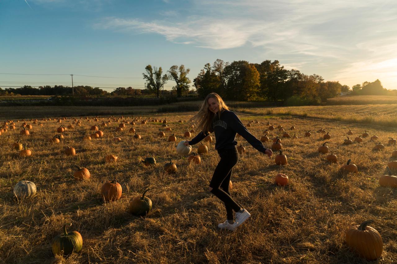Picking pumpkins in New York State